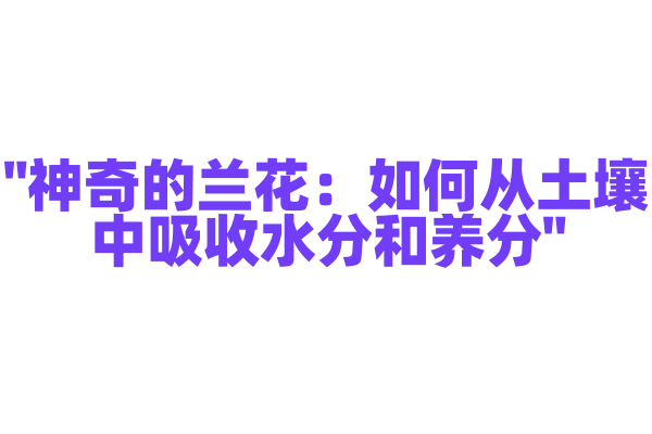 "神奇的兰花：如何从土壤中吸收水分和养分"